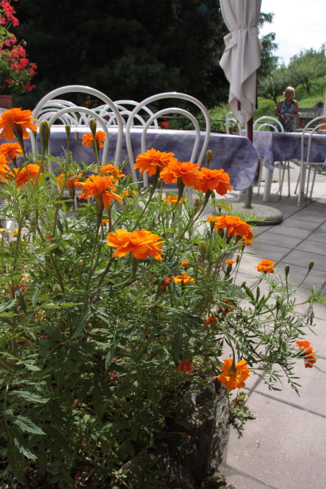 Hotel Bellevue Gignod ภายนอก รูปภาพ